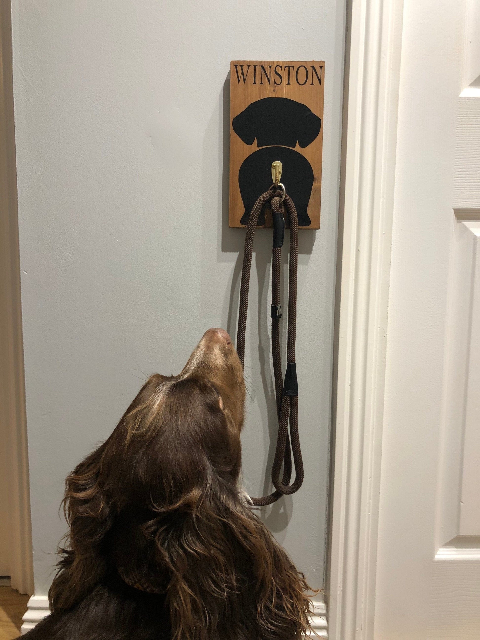 Lua Nova Personalised Dog Lead Hanger